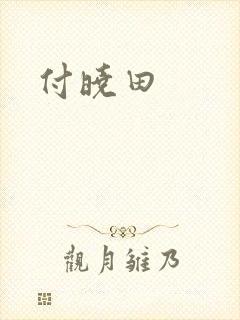 付晓田