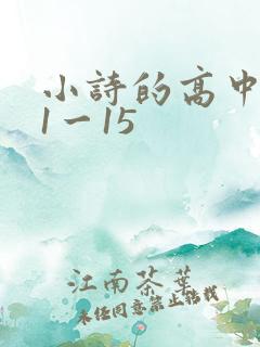 小诗的高中日记1一15