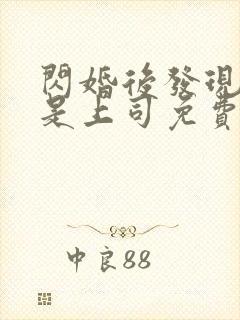 闪婚后发现老公是上司免费阅读司恋