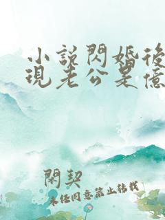 小说闪婚后,发现老公是亿万总裁免费阅读