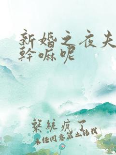 新婚之夜夫妻该干嘛呢