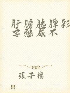 肝胆胰脾彩超需要憋尿不