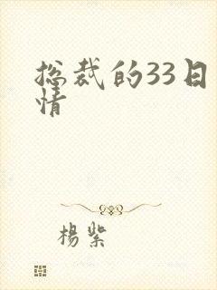 总裁的33日索情