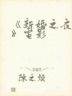 《新婚之夜报告》电影