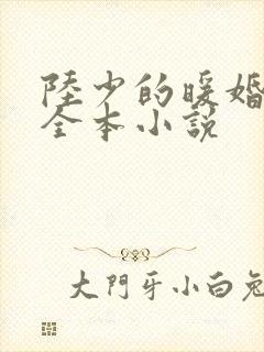 陆少的暖婚新妻全本小说