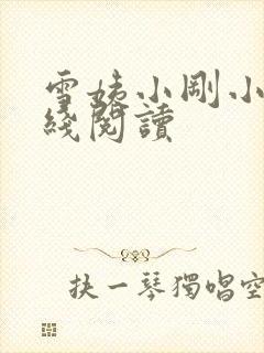 雪姨小刚小说在线阅读