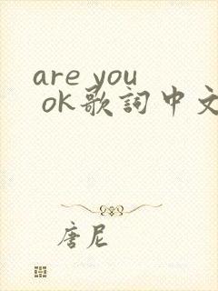 are you ok歌词中文