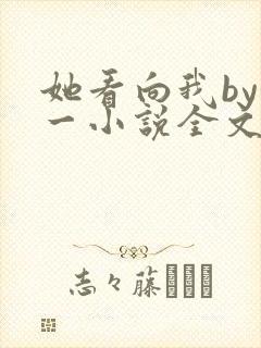 她看向我by徐一小说全文免费阅读