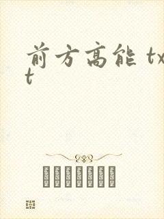 前方高能 txt
