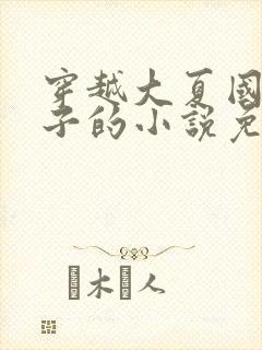 穿越大夏国九皇子的小说免费阅读