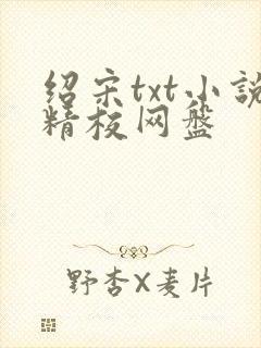 绍宋txt小说精校网盘