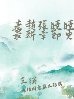 老赵张晓晓小说最新章节更新