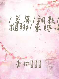 /羞辱/调教/捆绑/束缚小说