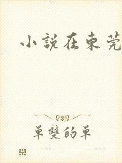 小说在东莞