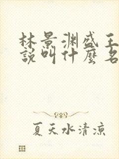 林景渊盛王的小说叫什么名字