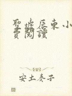 圣墟辰东小说免费阅读