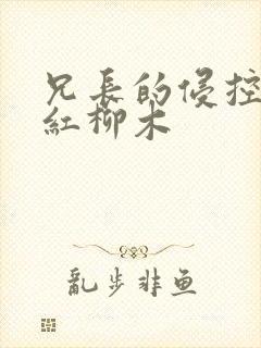 兄长的侵控by红柳木