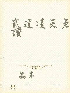 武道凌天免费阅读