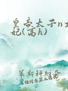皇帝太子n太子妃(高h)