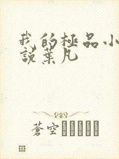 我的极品小姨小说叶凡