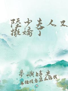 陆少夫人又双叒撒娇了