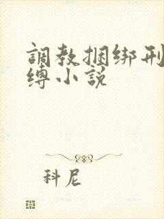 调教捆绑刑具束缚小说