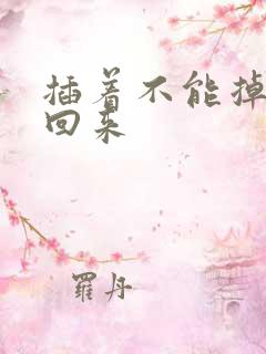 插着不能掉等我回来