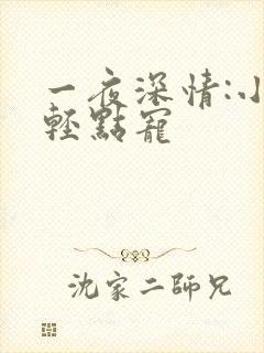 一夜深情:小叔轻点宠