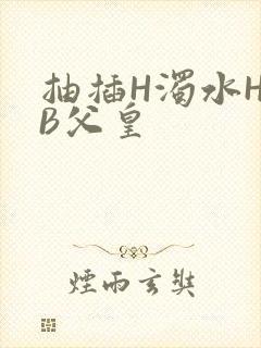 抽插H浊水H嫩B父皇