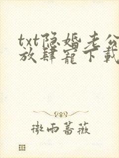 txt隐婚老公放肆宠下载