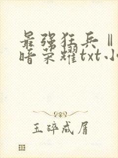 最强狂兵Ⅱ:黑暗荣耀txt小说下载