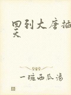 回到大唐插武则天