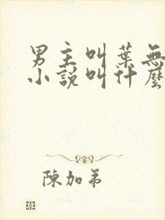 男主叫叶无道的小说叫什么名字