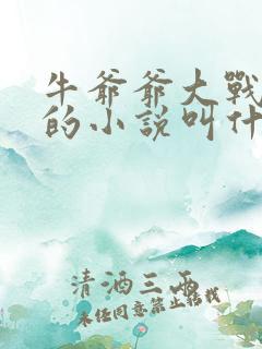 牛爷爷大战小丽的小说叫什么