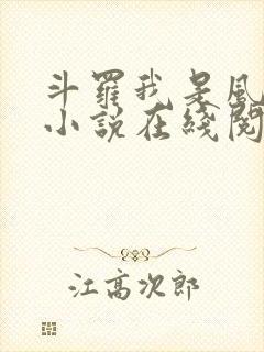 斗罗我是风笑天小说在线阅读