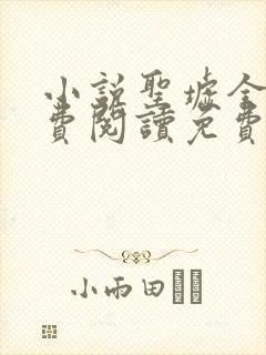 小说圣墟全文免费阅读免费