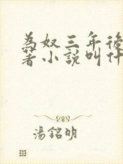 为奴三年后的原著小说叫什么