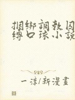 捆绑调教囚禁束缚口球小说