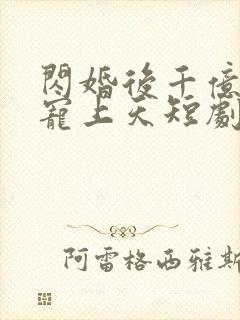 闪婚后千亿总裁宠上天短剧免费观看