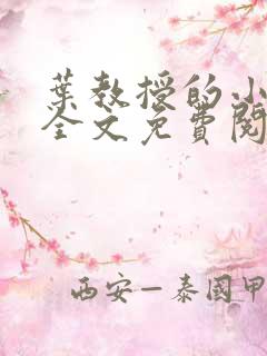 叶教授的小黏糖全文免费阅读