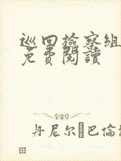 巡回检察组小说免费阅读