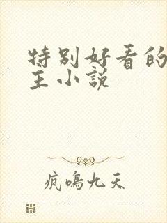 特别好看的双男主小说