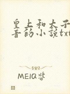 皇上和太子妃沈音的小说txt