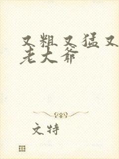 又粗又猛又大爽老大爷