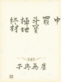 终极斗罗中的天材地宝