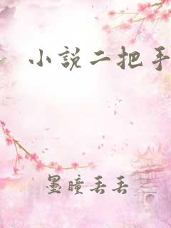 小说二把手
