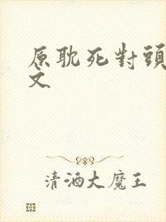 原耽死对头生子文