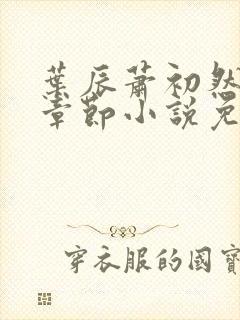 叶辰萧初然最新章节小说免费阅读