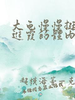 大龟慢慢挺进王进霞的体内