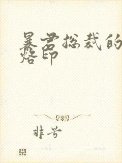 暴君总裁的狂烈烙印